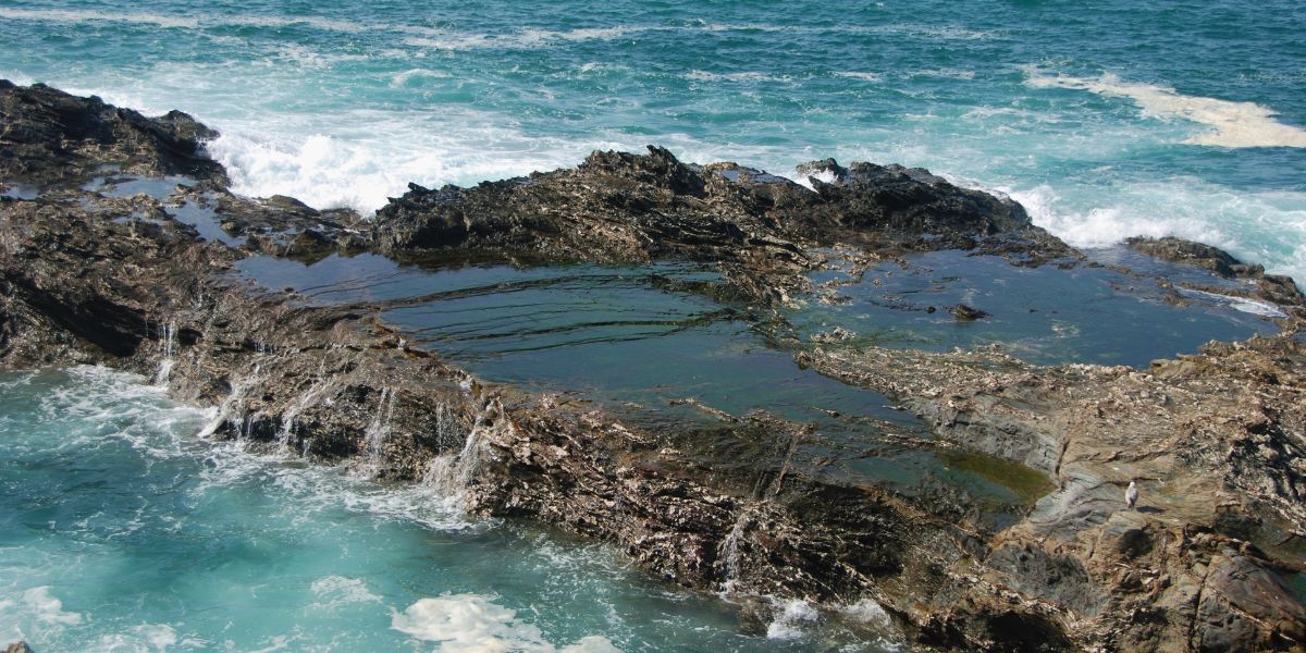 Impresionantes Pozas de Marea en el Mar de Cortés.