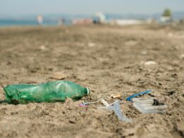 WWF: ‘menos del 10% de los plásticos se reciclan’
