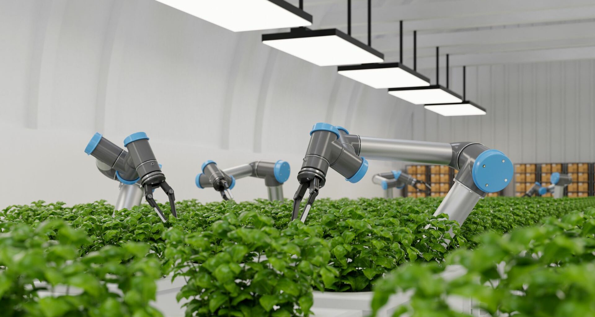 5 maneras en que la IA puede transformar la agricultura