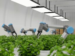 5 maneras en que la IA puede transformar la agricultura