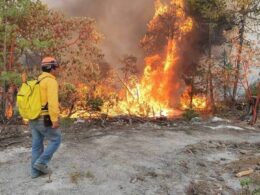 Chihuahua: 1er lugar en afectación por incendios forestales