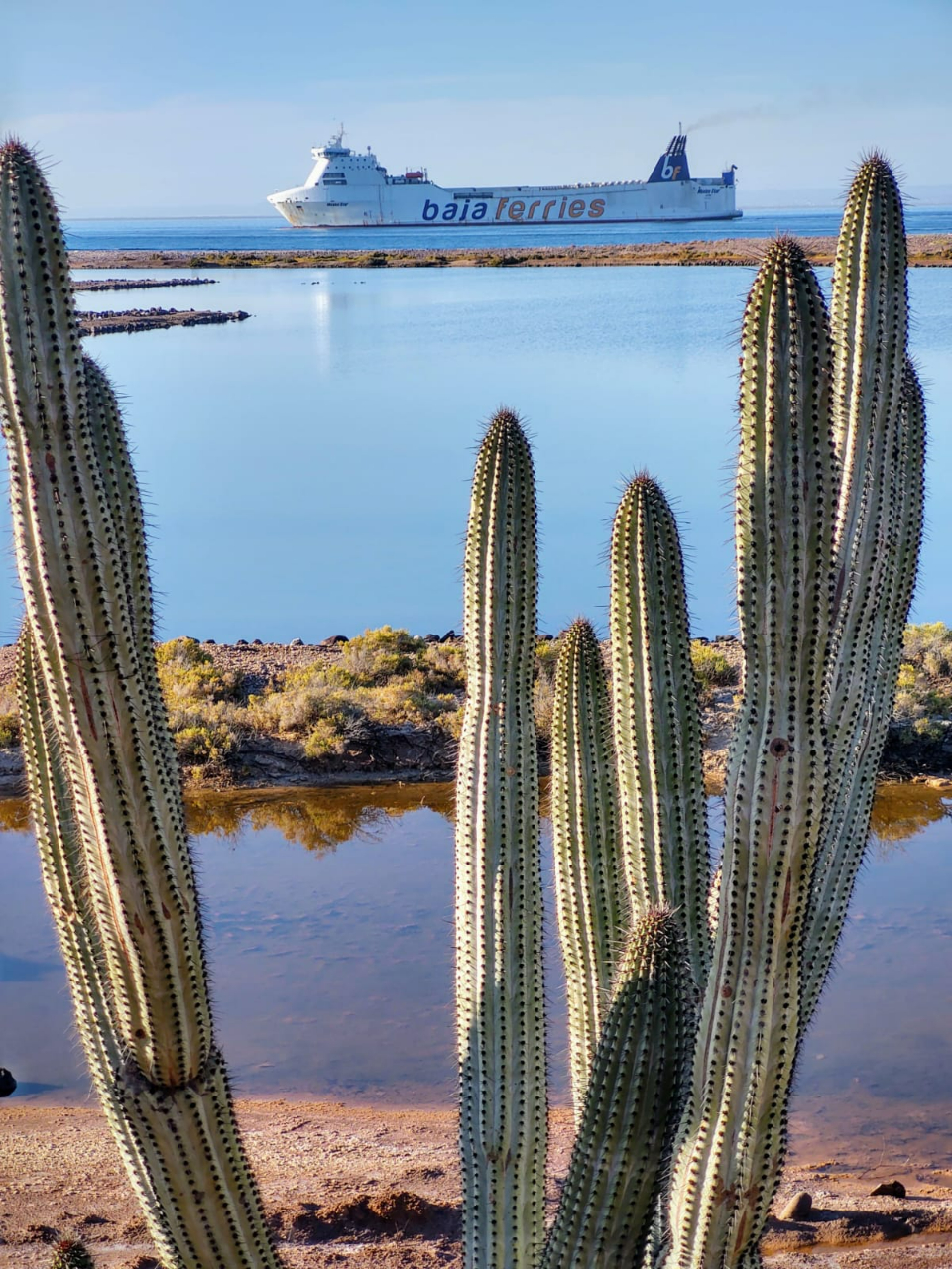 La empresa Baja Ferries fundada en 2003 opera dos rutas de ferry que conectan la parte sur de la península de Baja California con el resto de México a través del Golfo de California: Baja Star y México Star. Los viajeros pueden moverse entre Baja Sur y Sinaloa evitando el largo camino hacia el norte, ahorrando en costos de combustible y tiempo de conducción en caso de que los recorridos se deseen emprender en carro o camión.