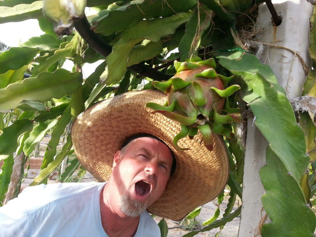 “Estados Unidos está importando esta fruta de donde sea, Filipinas, Vietnam y otras partes, y la mayoría no llega en buenas condiciones por la distancia. Guaymas es un nicho de oportunidad para cultivar este fruto por la ubicación y el clima”, declararon los Hovey.