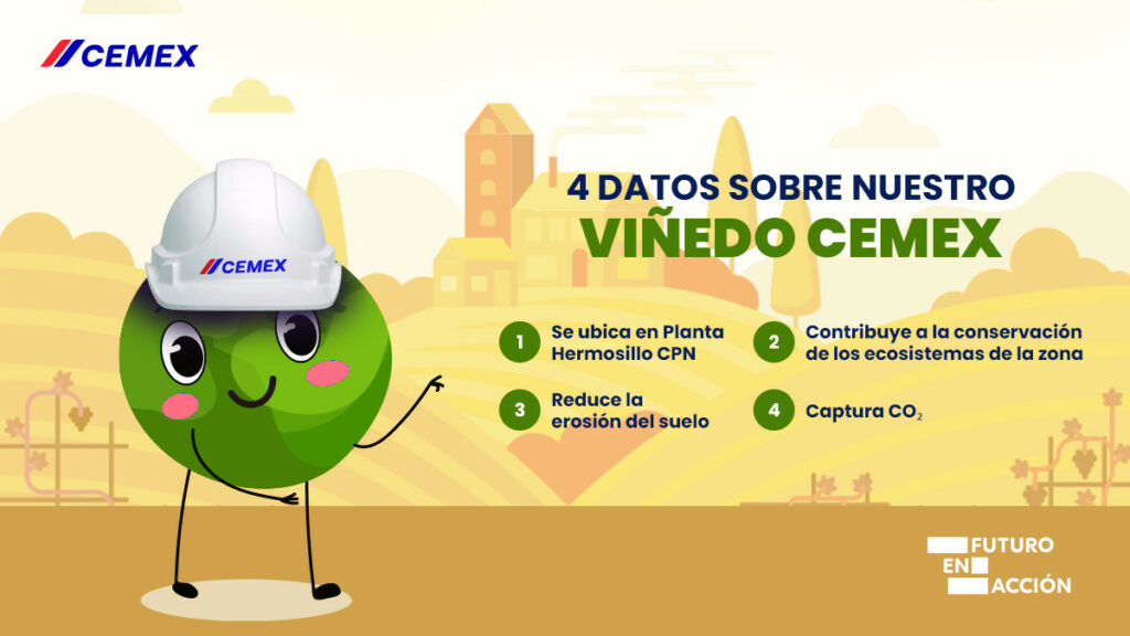 Vinedo Cemex Nota2