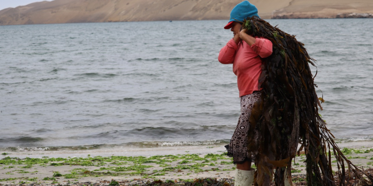 Mujeres pescadoras lideran movimiento de pesca sustentable en redes sociales