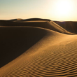 Gran Carrera del Desierto: todo lo que debes saber sobre la Biósfera de El Pinacate y el Gran Desierto de Altar