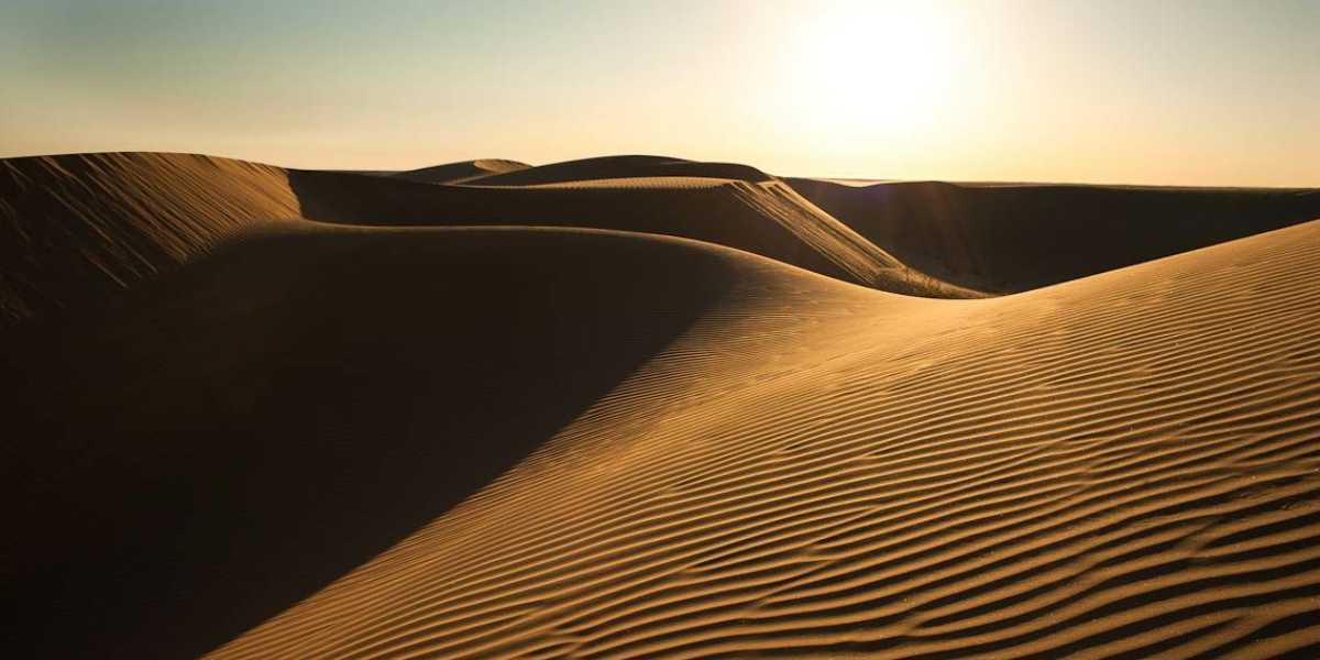 Gran Carrera del Desierto: todo lo que debes saber sobre la Biósfera de El Pinacate y el Gran Desierto de Altar