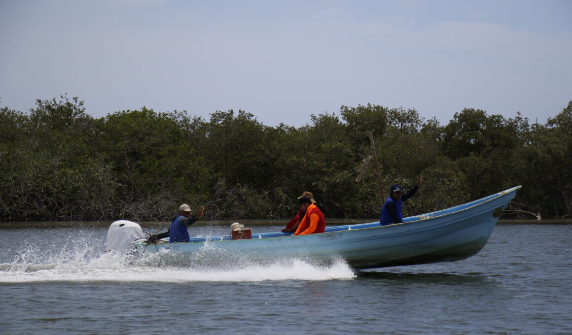 1 comunidades costeras lucha pesca sostenible mexico oceana norma sanchez
