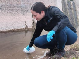 Derrame de constructora contamina el Río Satevó en Chihuahua