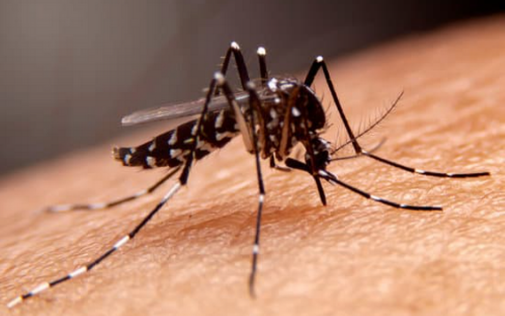 dengue serotipo 3 casos municipios sinaloa