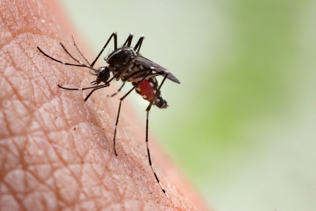 dengue serotipo 3 casos municipios sinaloa 2