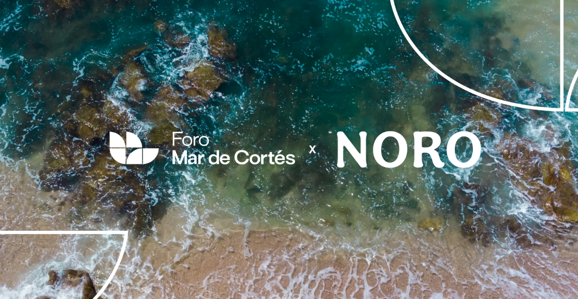 Foro Mar de Cortés 2023: prosperidad y sostenibilidad en acción