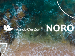 Foro Mar de Cortés 2023: prosperidad y sostenibilidad en acción