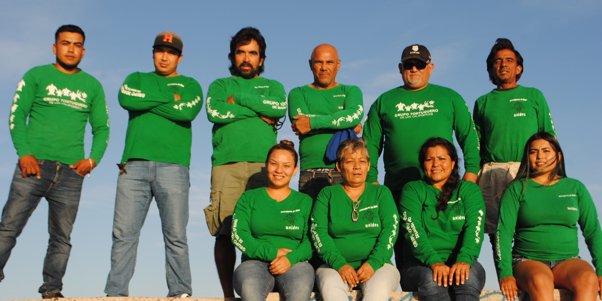 Grupo Tortuguero de las Californias reafirma su compromiso con la tortuga marina de Sinaloa