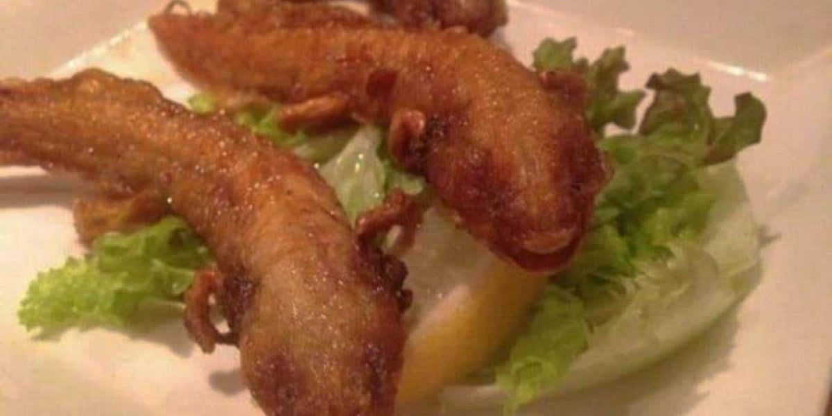 Restaurante japonés prepara ajolotes fritos, platillo que causó indignación a mexicanos