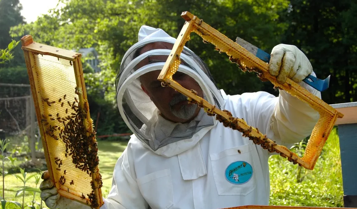 apicultores obtienen 206 toneladas de miel baja california 2