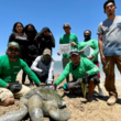 Los Becerra: familia de ex pescadores que se dedica a proteger la tortuga marina en el noroeste