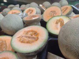 descartan microorganismos contaminantes en melon sonora