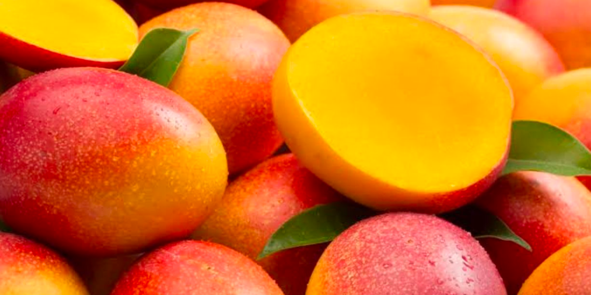 Sinaloa se corona como el principal productor de mango en México