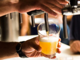 Avanzan reformas para dar licencias a productores de cerveza artesanal en Sinaloa
