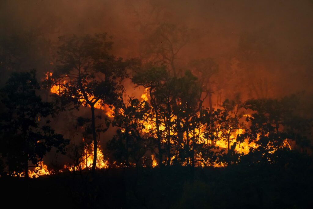 incendios forestales noro 3