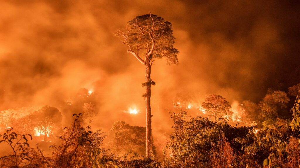 incendios forestales noro 6