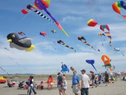 San Diego Kite Festival