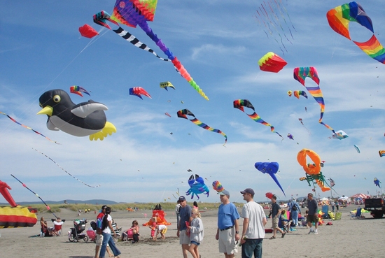 San Diego Kite Festival