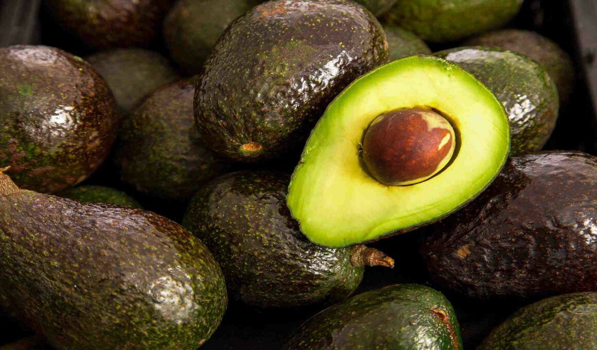 The US Embassy has activated a security protocol that includes the temporary suspension of Mexican avocado imports.