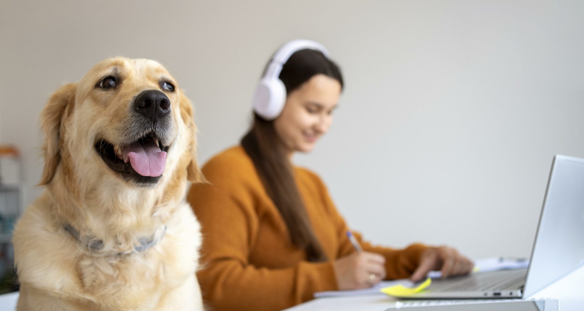 Hermosillo se suma al Dia Mundial de llevar al perro a tu trabajo conoce cuales son los beneficios