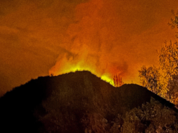 Valle de Guadalupe registró racha de incendios que arrasaron con más de 660 hectáreas