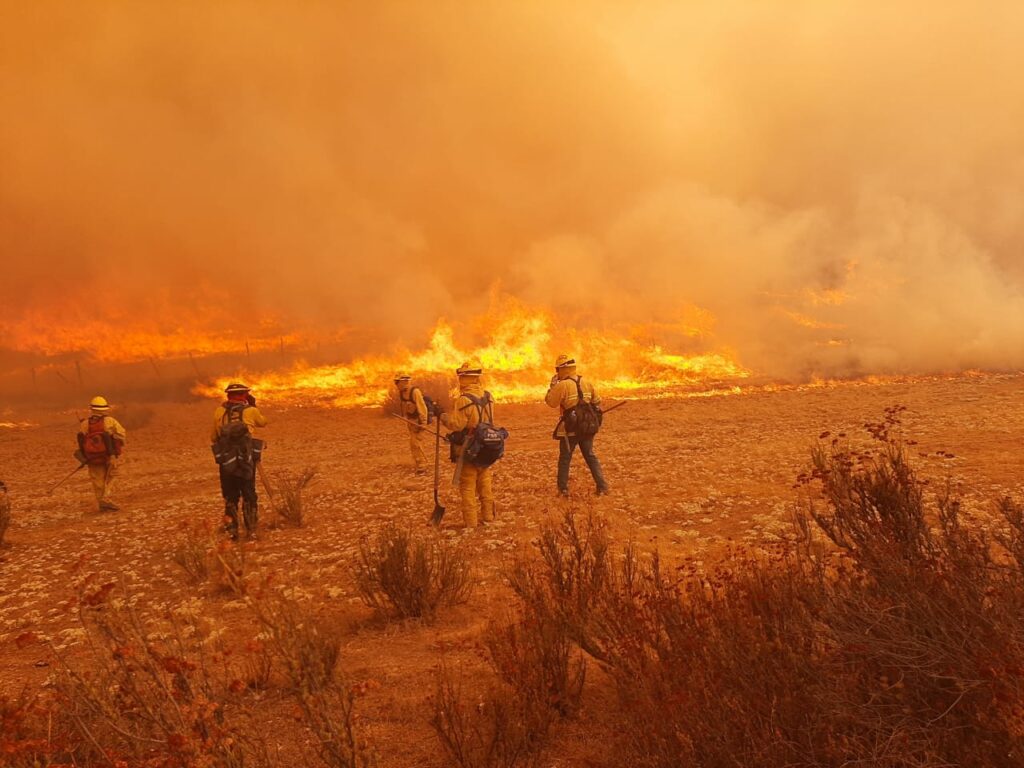 incendios valle de guadalupe 7