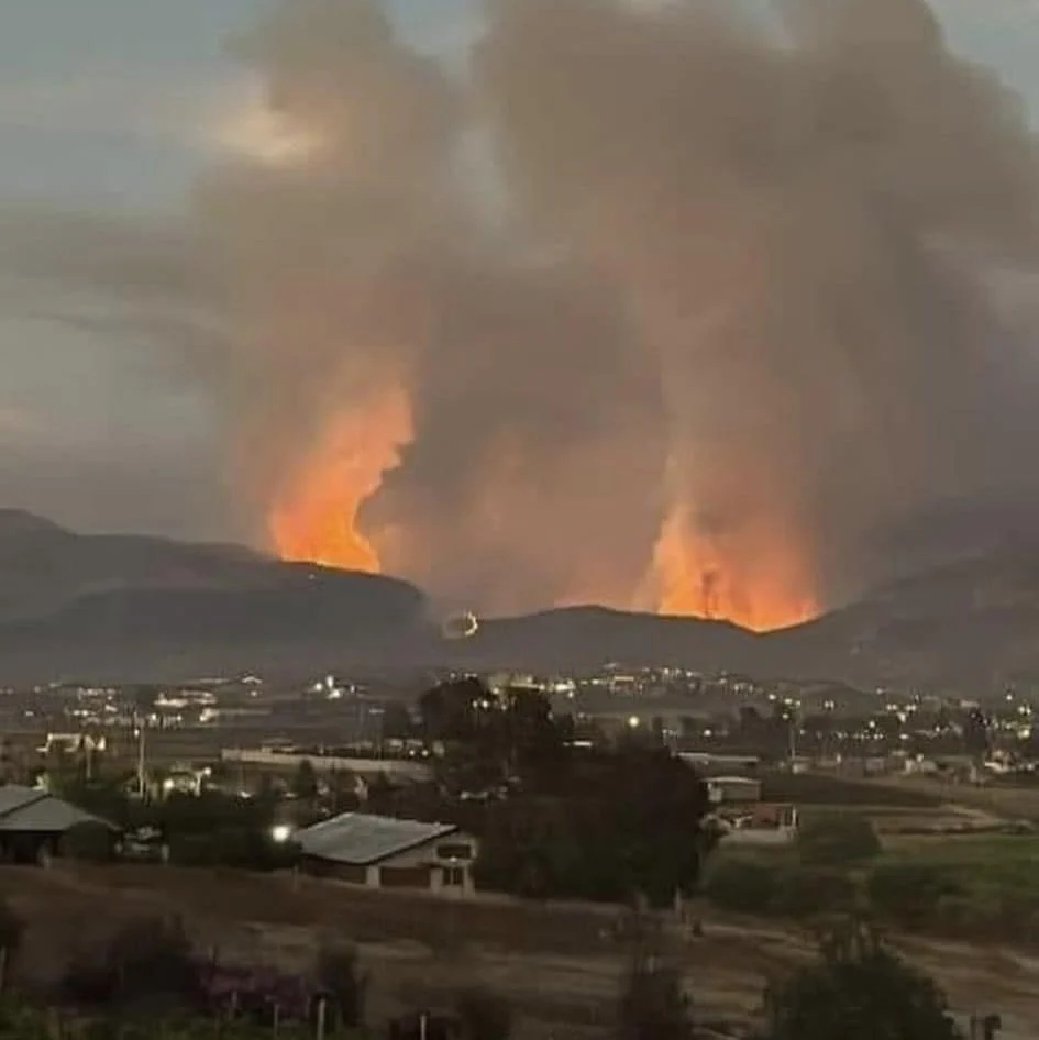 incendios valle de guadalupe 8