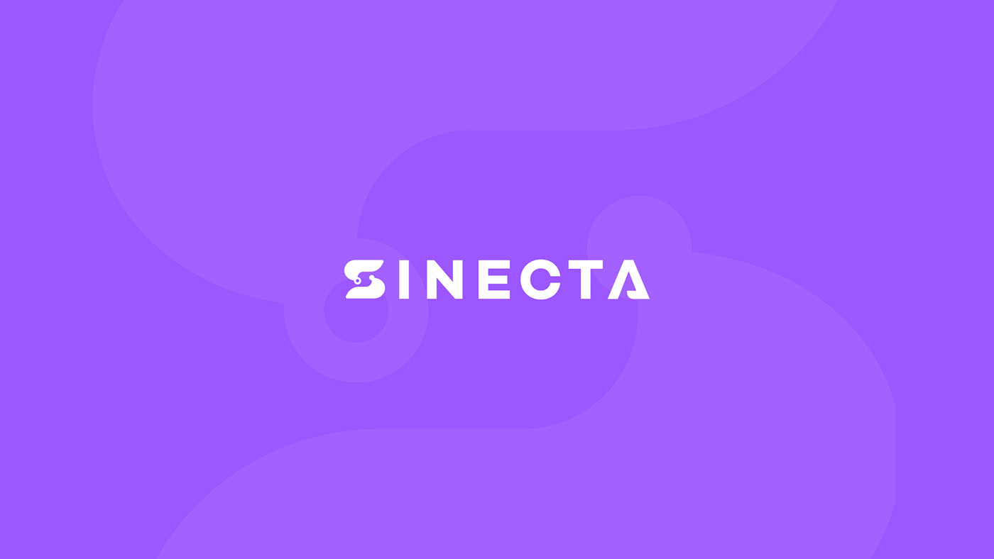 sinecta 3