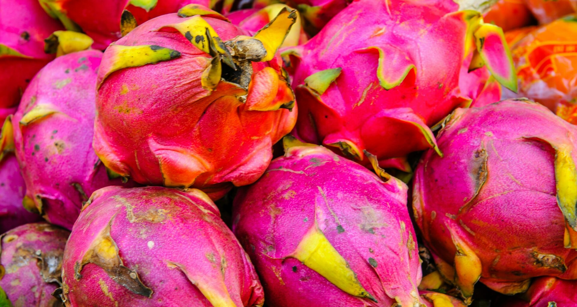 Pitaya o pitahaya conoce las diferencias entre estas deliciosas frutas
